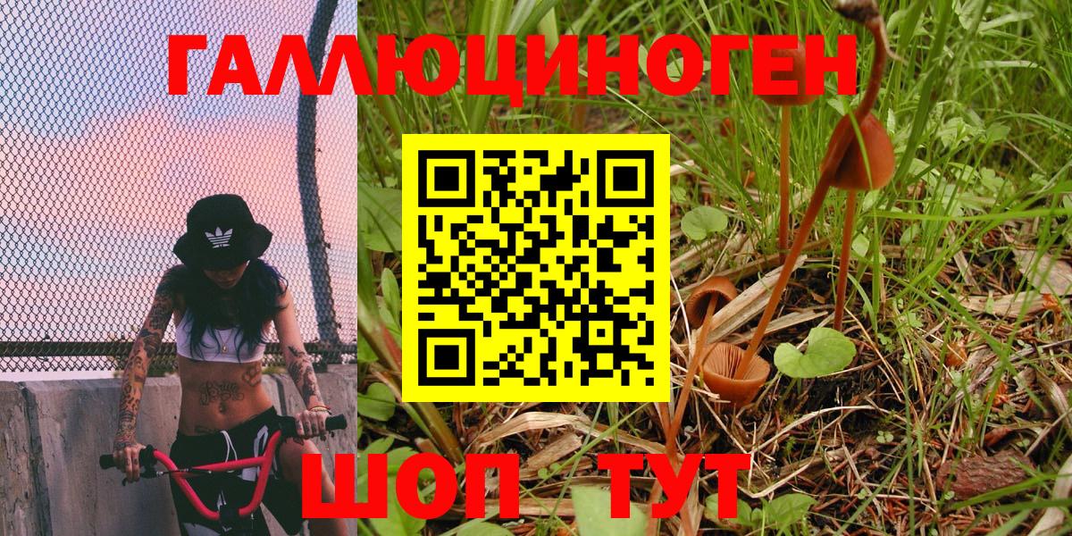 Псилоцибиновые грибы Psilocybe  Вход с VPN  Псилоцибиновые грибы прущие грибы  Кубинка 